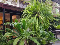 11th Street Bed and Breakfast - 2-Star