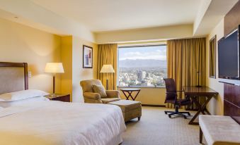Sheraton Mendoza Hotel