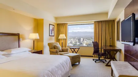 Sheraton Mendoza Hotel
