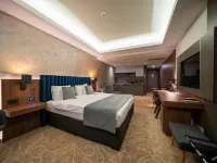 Atlas Hotel Hoteles en Timișoara
