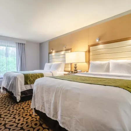 Comfort Inn Raleigh Midtown