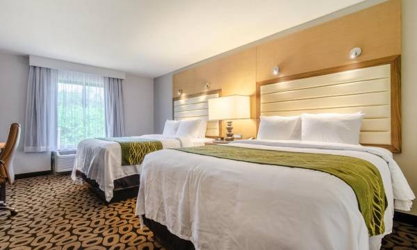 Comfort Inn Raleigh Midtown