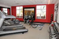 Hilton Garden Inn Atlanta South-McDonough - Træningscentre