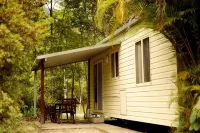 Mt Warning Rainforest Park - Wifi