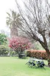 Harriet House Tumut Hotels in Killimicat