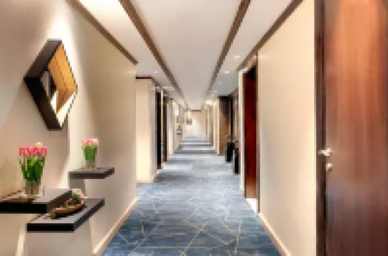 DREAM CITY HOTEL APARTMENTS LLC.