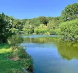 Bartles Lodge Hotels in Breckland District