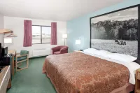 Super 8 by Wyndham Gas City Marion Area - Pet friendly