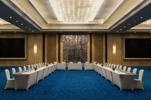 The St. Regis New Capital, Cairo Бизнес-удобства Photos