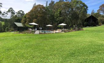 Mansfield on the Manning