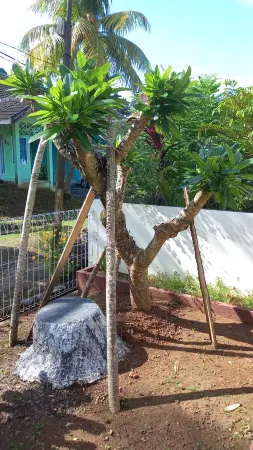 2Br Shambala Villa Anyer Outdoor Dek Отели в г. Cinangka