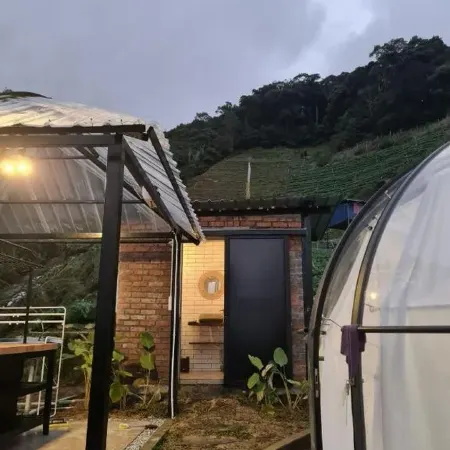 A'Moss Farmstay