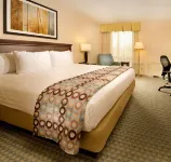 Hotel Lotus Kansas City Stadium - piscine