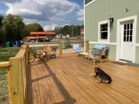 The Lazy Tiger Hostel - Hostels