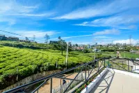 Villa Tea Fields - Free Breakfast, Just 4km from City, Near Lake Gregory - Scenic