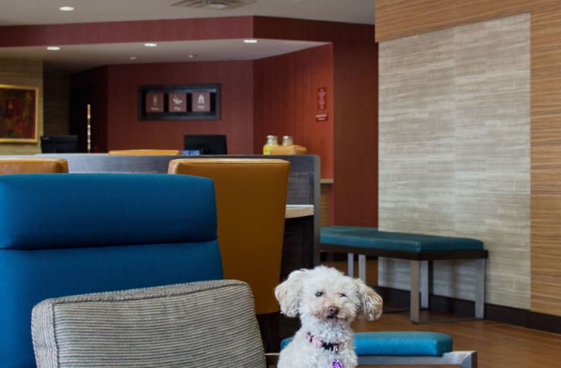 TownePlace Suites Austin Round Rock photo 5