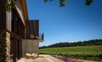 Monverde - Wine Experience Hotel - by Unlock Hotels