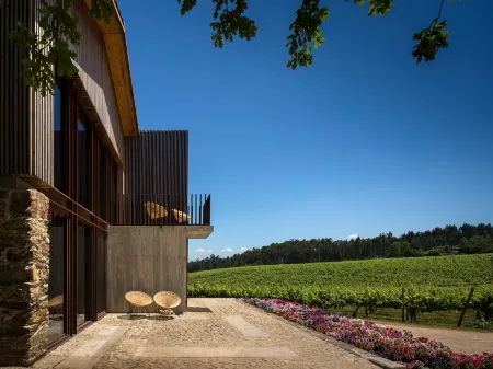 Monverde - Wine Experience Hotel - by Unlock Hotels Отели в г. Морейра-ду-Каштелу