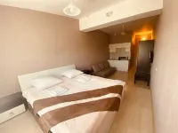 IST River Hotel Hotels in Borovsky District