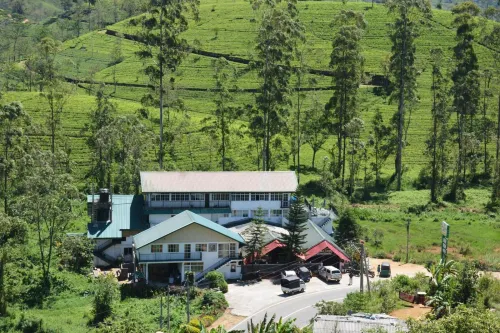 Hill Cool Hotel & Restaurant Hotels in Hatton