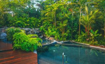 Amor Arenal Adults Friendly