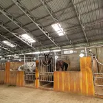 RTM Stable & Homestay