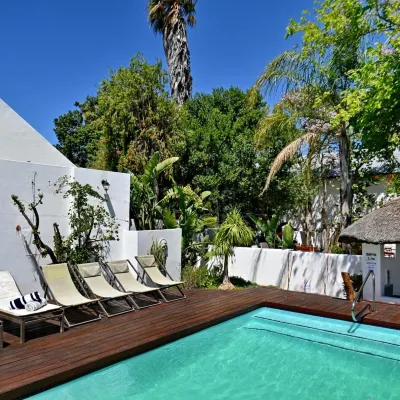 Mimosa Lodge Hotels near IBIS Gallery