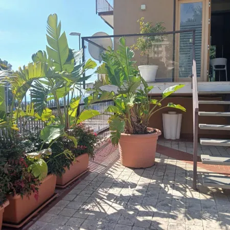 I Segreti Della Valle