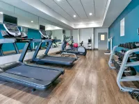 Holiday Inn Express & Suites DALLAS FT. WORTH AIRPORT SOUTH by IHG Hotels in Irving