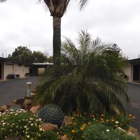 Dalby Parkview Motel