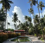The Steam Resort