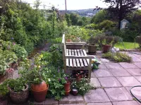 Vine Cottage - Wifi