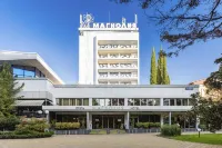 โรงแรมโซชี แมกโนเลีย - วิวภูเขา
