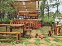 Chino Homestay Măng Đen - Villa tại Măng Đen - bar