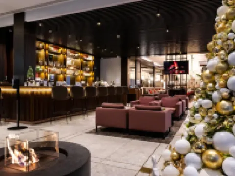 ヒルトン ガーデン イン ヴィリニュス シティ センター ヴィリニュスのホテル