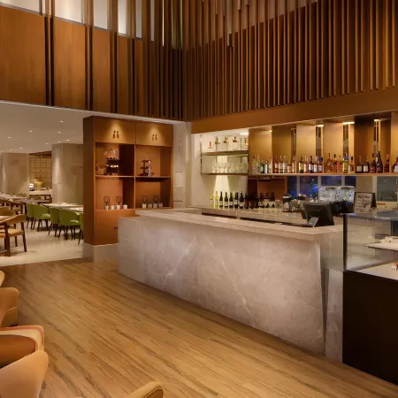 Ion Hotel