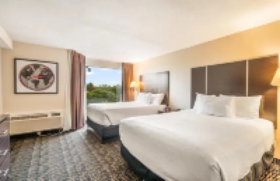 Ramada Plaza by Wyndham Niagara Falls