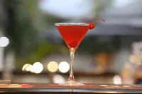 斐濟度假飯店 - 酒吧