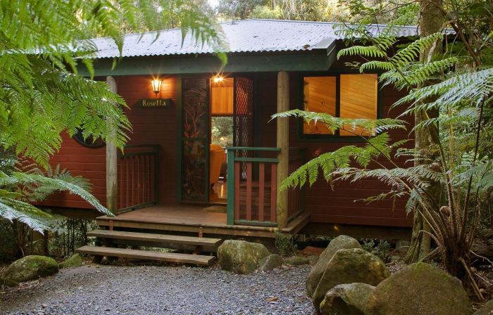 Springbrook Lyrebird Retreat