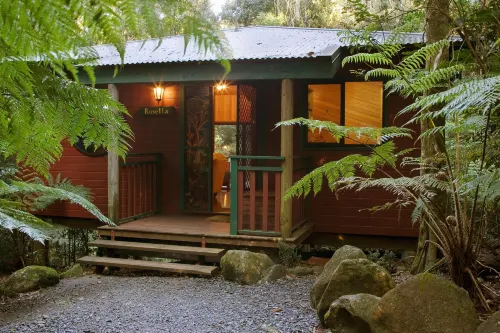 Springbrook Lyrebird Retreat - Alojamientos