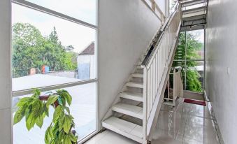 Collection O 90253 DHelomi