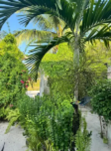 Oi Beach Hotels in Maamigili Island