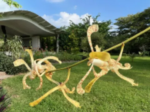 Freshwater Plantation Farm Stay