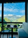 阿爾平飯店 - 山景