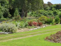 Waikawa House - Pet friendly