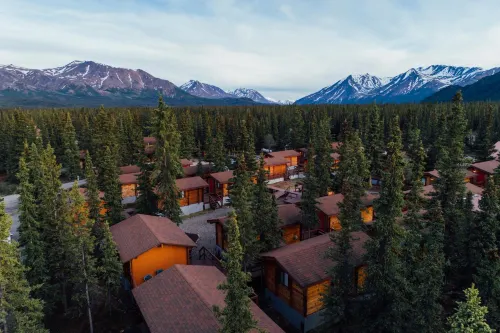 Denali Cabins - bar