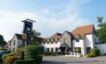 The White Swan
