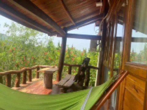 南貓小屋旅館