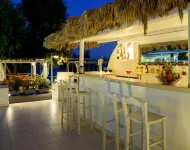Alesahne Beach Hotel - bar