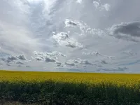 Morgan Inn and Suites Walla Walla